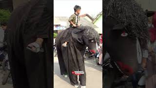 bocil FF naik jaran satoan #nadabuana #canmacanan #burokviral