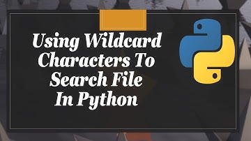 Using Wildcard Characters To Search File In Python