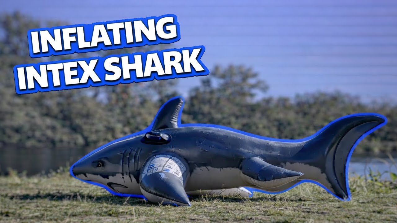 Inflating the Intex Realistic Shark on the Lake 🦈💨 - YouTube
