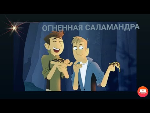 Братья Кратт: Зов Природы. Новая серия: Огненная саламандра.