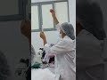 Examen de Orina - Práctica Hematologia
