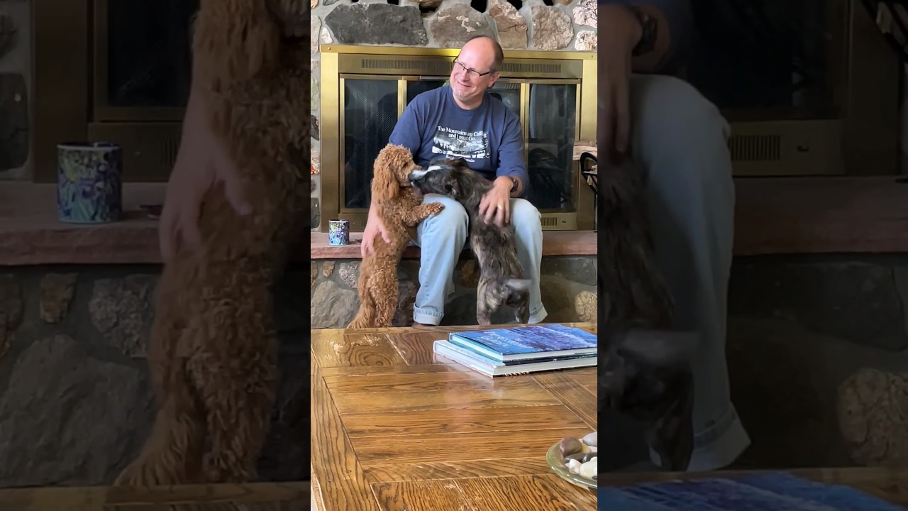 Walter with his dad and girlfriend Lily