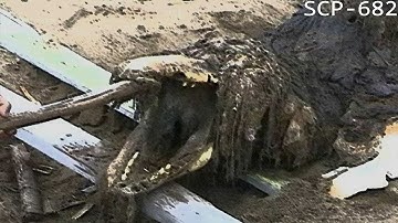 Entrevista a SCP-682