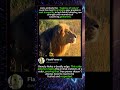 Jungle Secrets: Rules of Survival