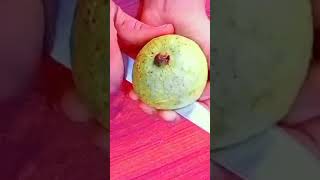 How To Cut A guava ?shorts