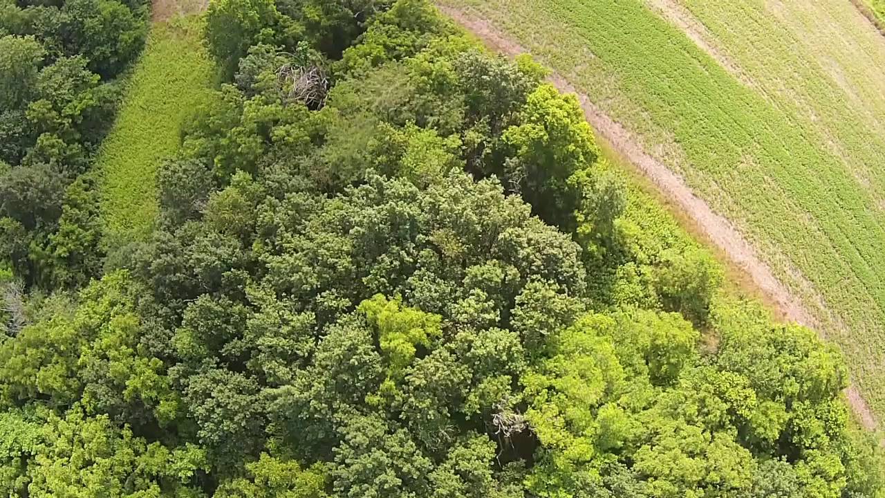 Property For Sale Crawford Co. IL Mossy Oak Properties AgriRec Land