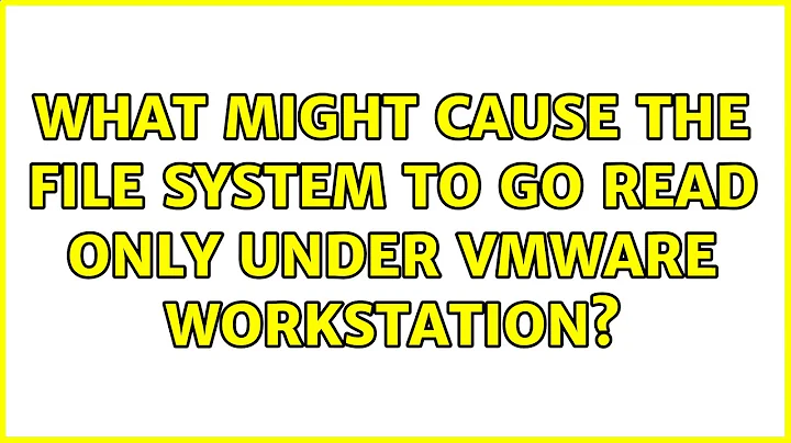 What might cause the file system to go read only under vmware workstation?