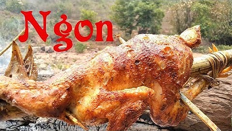 Gà Đồi Nướng Mắc Khén Hạt Dổi ✓ Poòng Văn Quỳnh