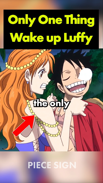 This is only thing that can wake Luffy up