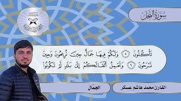سورة النحل -  القارئ محمد هاشم عسكر  - فروع السيكا