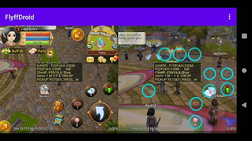 FlyffDroid - Dual-Client Demo
