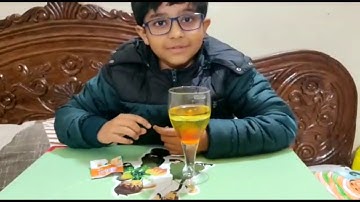 DIY Lava Lamp Experiment Part 2 | Lava Lamp Experiment video | Rh studio