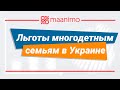 Льготы многодетным семьям в Украине / maanimo
