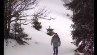 Balades dans le Jura