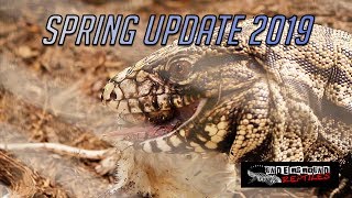 2019 -- Spring Update