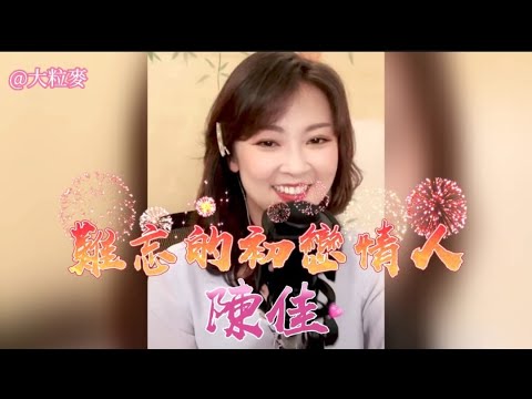 百聽不厭好歌～陳佳主唱《難忘的初戀情人》 4k 卡拉ok 歌詞版