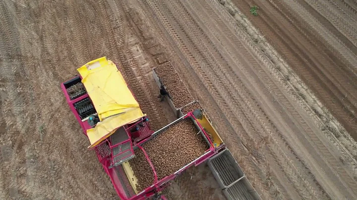 AgroScout -Supply chain intelligence