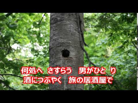 旅の居酒屋(北川大介）・・カバー：サンアミーゴ