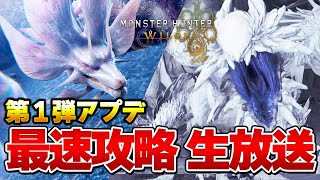 モンハンワイルズ第1弾アプデ！色々な最新装備でゾシア ソロで狩り尽くす！『モンスターハンターワイルズ』