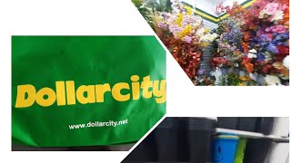 Te llevo a la tienda de Dollar city/decoraciones y más...