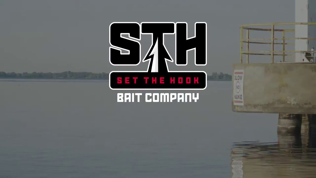 Sth bait company Clearance