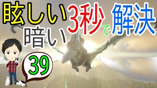 アーク初心者0からガイド 39 明るさの変更方法 眩しさ 暗さを調整したオススメ設定も Ark Survaival Evolved Ps4版 Youtube