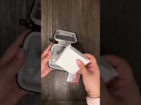 Miyoo Mini Flip
