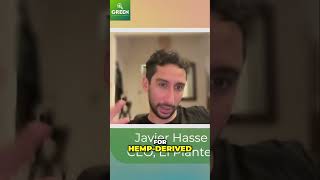 Paraguay: South America's Secret Hemp Paradise You NEED to Know!
