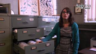 Software identifica espécies de animais pelos sons que emitem screenshot 2