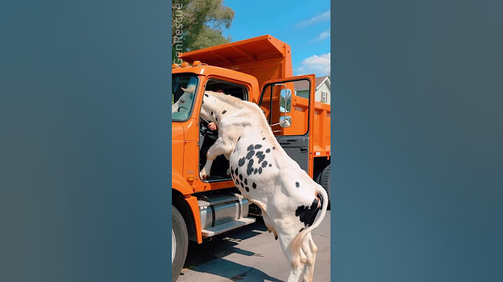Race Against Time: Rescuing a Calf Buried in Sand! 😱 #cow #animalrescue