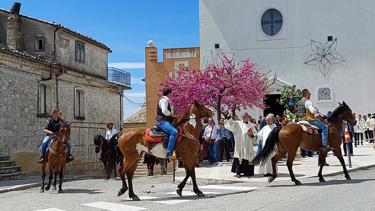 Santa Croce di Magliano: Ultimo sabato di aprile Benedizione degli animali 29/4/2023🐐🐄🐂🫏👍🤗