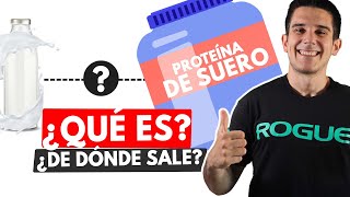 ¡WHEY PROTEIN! Qué es y CÓMO SE HACE (Proteína de Suero)