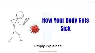Top 5 Reasons You Get Sick Top 5 Reasons You Get Sick