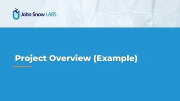 Project Overview (Example)