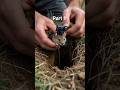 Tiny Camera Reveals the Secret Life of a Field Mouse #shortvideo #insects #shorts #short