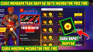 CARA TUKAR INCUBATOR FREE FIRE | CARA DAPAT BATU INCUBATOR FF
