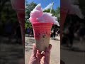 Red Crowned Crane Drink at Disney’s Animal Kingdom Theme Park #shorts