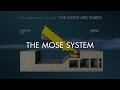 THE MOSE SYSTEM