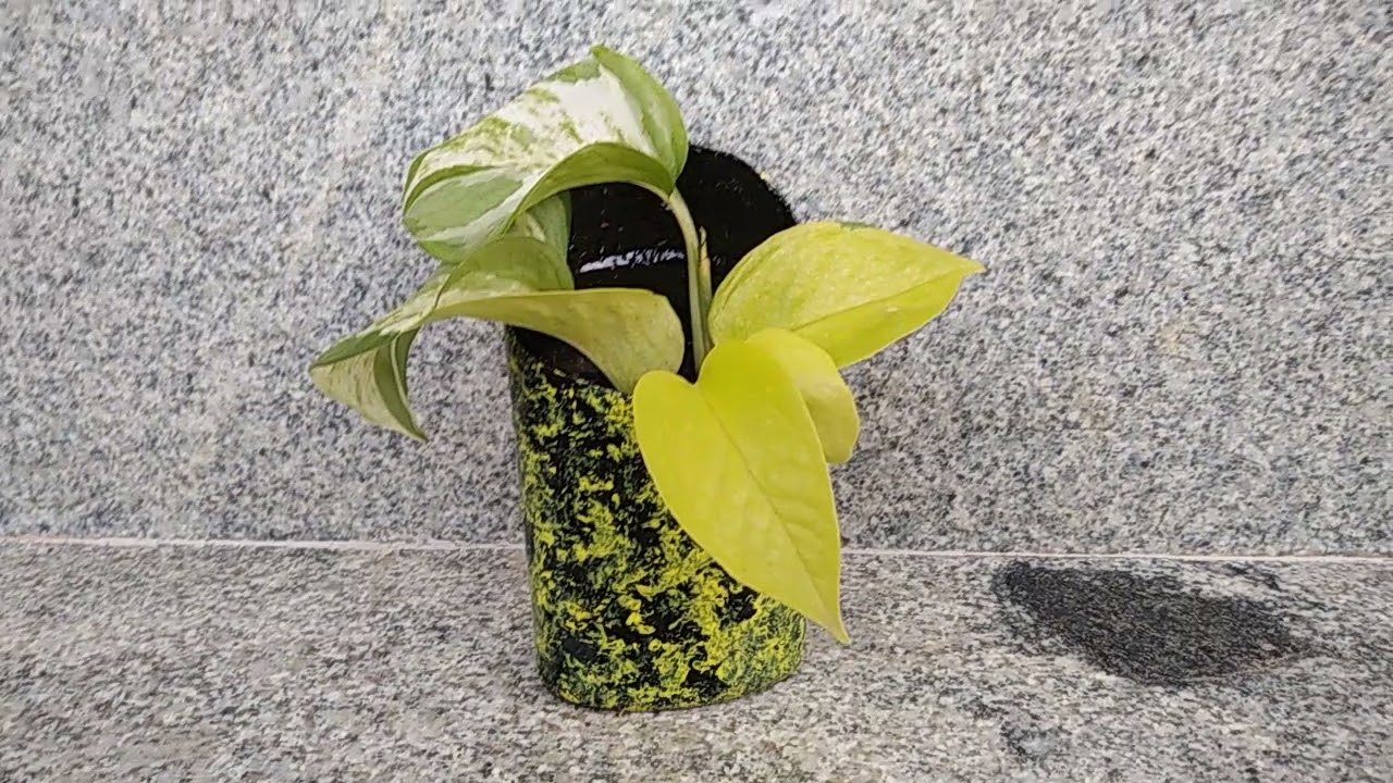 Thumbnail Error In You Tube | Resolved?? 😎