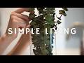 Simple Daily Life Vlog | Slow, Peaceful Weekend Potting Plants 🌱