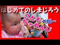こどもちゃれんじベビー６カ月号　はじめてのしまじろうのおもちゃ！さとちんの反応は？