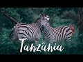 Beautiful tanzania  safari  levame