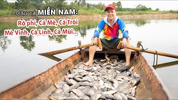 Câu Cá miền Nam: Rô phi, Cá Mè, Cá Trôi, Mè Vinh, Cá Linh, Cá Mùi…