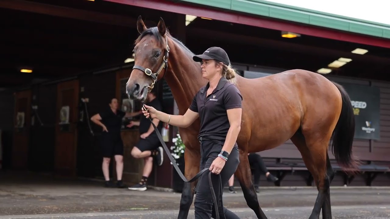 Simon Zahra Racing Simon Zahra Flemington Horse Trainers