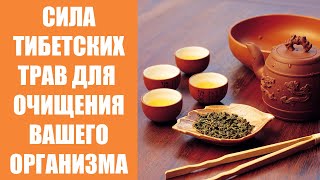Профилактика паразитов у человека народными средствами 🔴