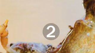 9.2高分小动物纪录片, 一定要给孩子看的纪录片,会走路的鱼PK功夫小螃蟹,谁赢谁输,软体动物的天敌, #弹涂鱼  #小螃蟹 #天蛇 #动物科普 #动物解说