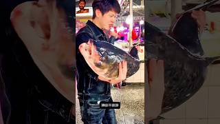 ৫০ কেজি বড়ো সেরা মাছ #shorts #reels #fishing #amazing #facts