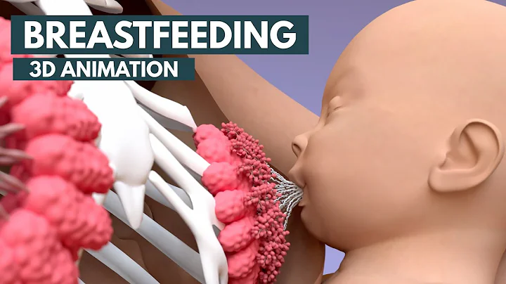 Breastfeeding | 3D Animation - DayDayNews