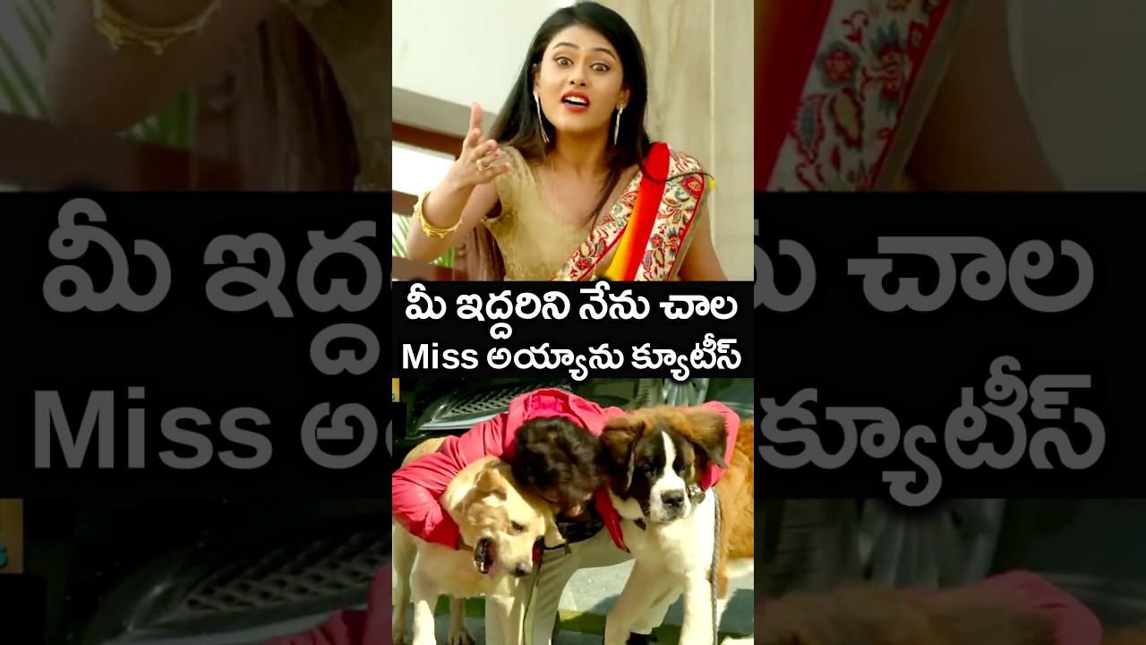 మీ ఇద్దరిని నేను చాల Miss అయ్యాను క్యూటీస్ | #EEE Telugu Movie #Shorts | Telugu Movie Talkies