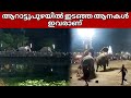     aarattupuzha elephant attack 2024 news reporting sarath prakash vlog